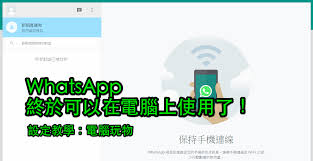 WhatsApp网页官网|whatsapp.web